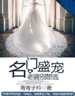名门枭宠老婆乖一点
